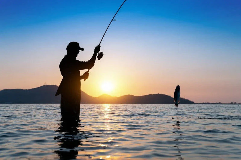 O que os pescadores mais exigentes precisam.