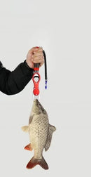 Alicate Garra de Aço Inoxidável 3 em 1 - Segura, Pesa e Mede